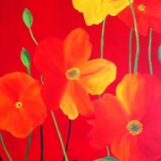 janine-cristina-hemmi_bilder_mohn