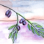 janine-cristina-hemmi_kunstkarten-italien_motiv-023