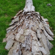 janine-cristina-hemmi_objekte-landart_p1010076