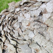 janine-cristina-hemmi_objekte-landart_picture-0006